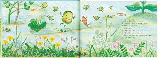 楽天ブックス: そらまめくんとめだかのこ - なかやみわ