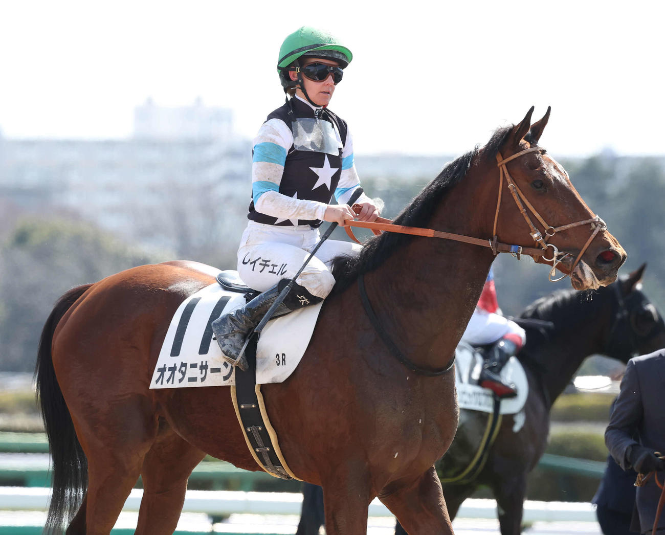 無敗の米３冠馬の血引くオオタニサーン デビュー２戦目も５着に敗れる
