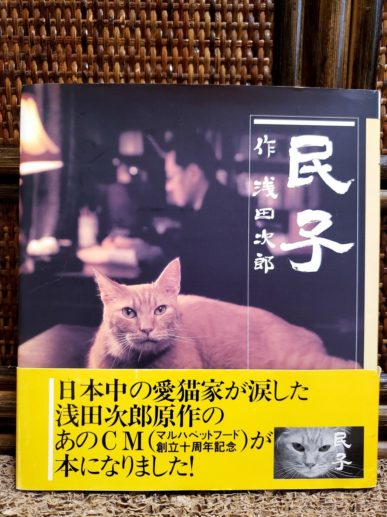 猫、いなくなる。その喪失感は失恋以上に手強い。マルハペットフードCM