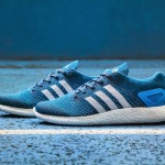 Adidas Primeknit Pureboost